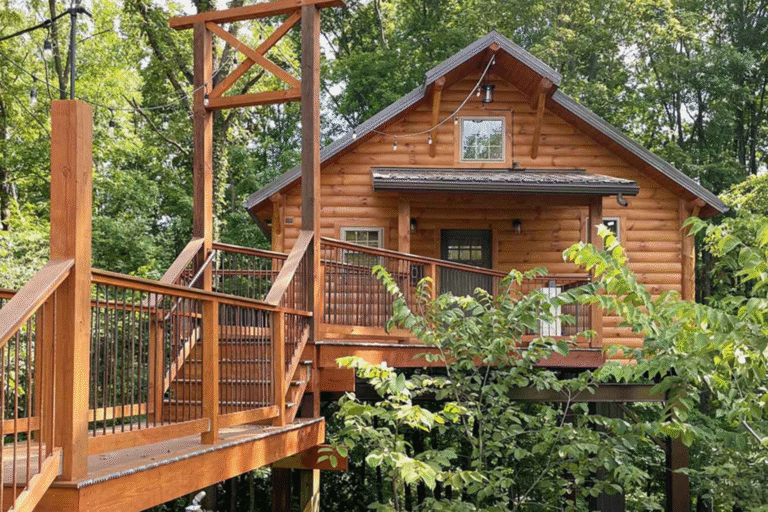 tree house cabin rental