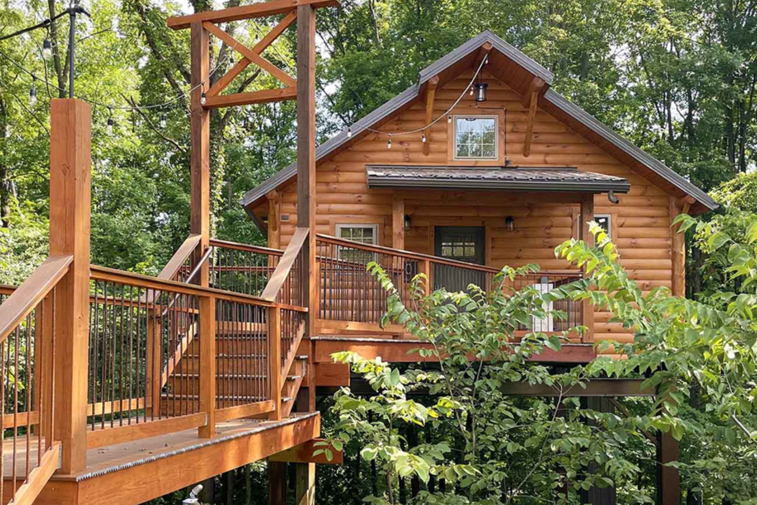 tree house cabin rental